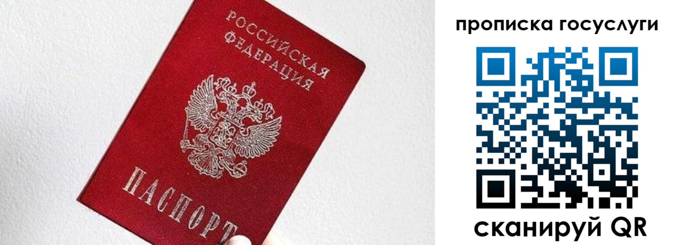 прописка законно в Барнауле